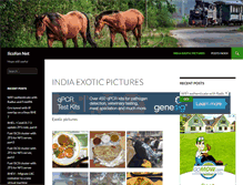 Tablet Screenshot of ilcofon.net